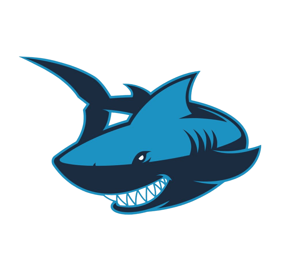 Fin Time Pros